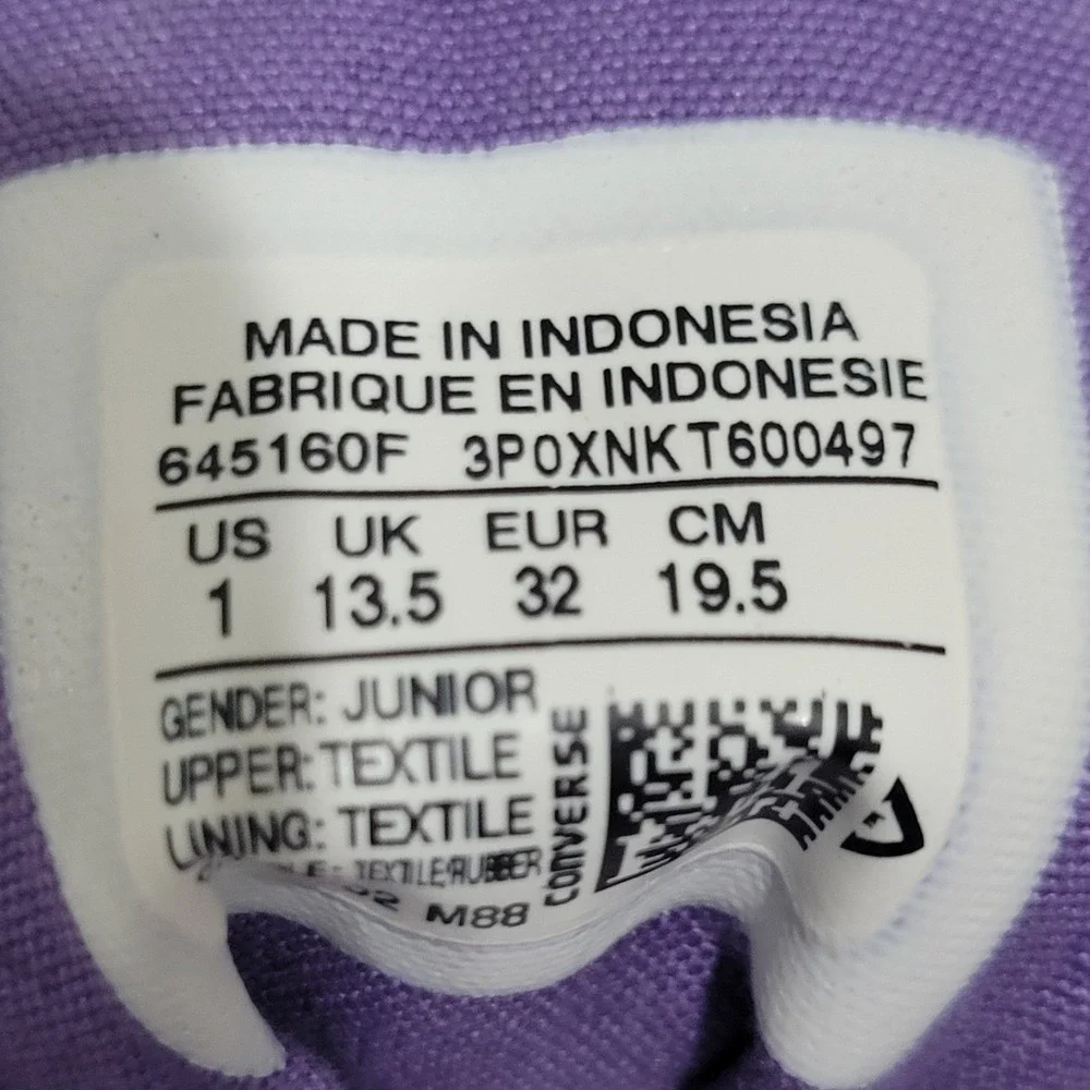 Converse Chuck Taylor All Star Kid 1 Gray Purple Paint Drip Zip High Top Sneaker